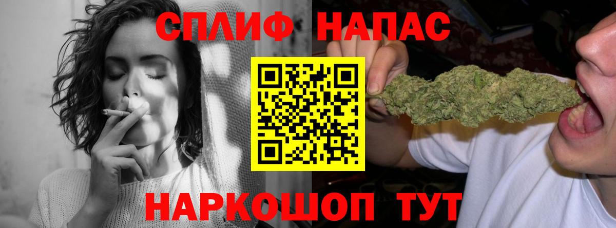 Канабис план Гатчина